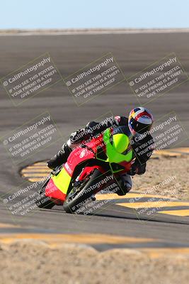 media/Jan-13-2024-SoCal Trackdays (Sat) [[9c032fe5aa]]/Bowl Exit Set 2 (1135am)/